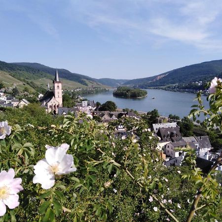 Rheingau Und Weltkulturerbe Mittelrheintal Erleben - Ferienappartement In Winkel Йострих-Винкел Екстериор снимка